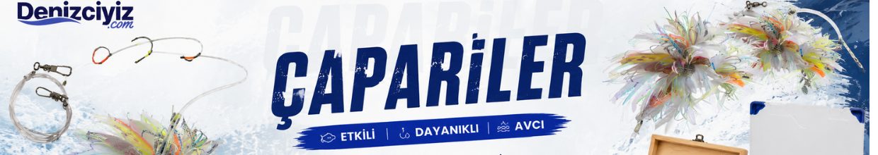 İğneler